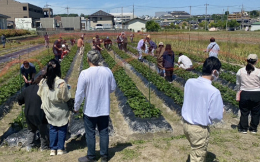 いちご狩り開催